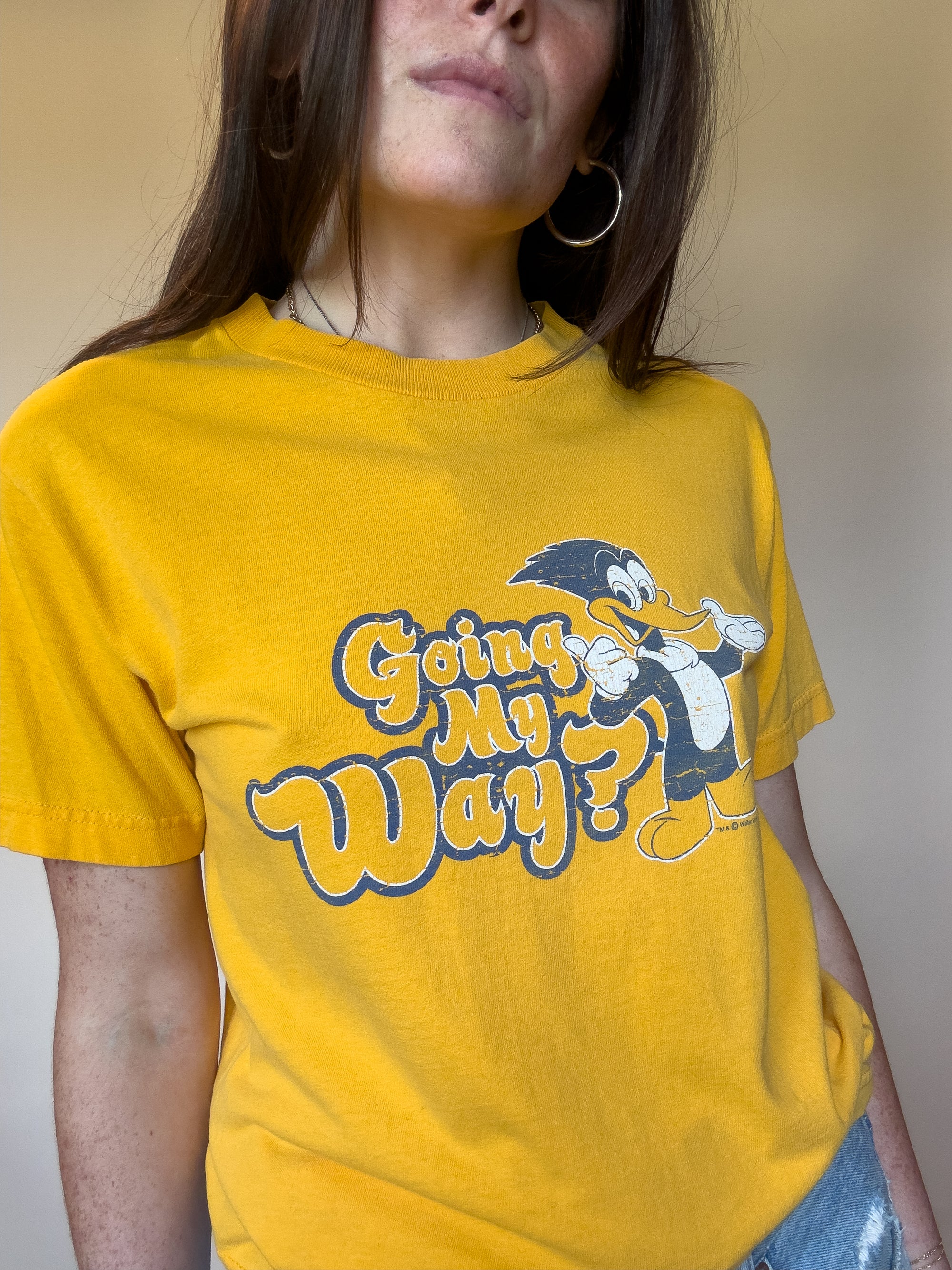 2000S ALSTYLE APPAREL WOODY WOODPECKER T-SHIRT